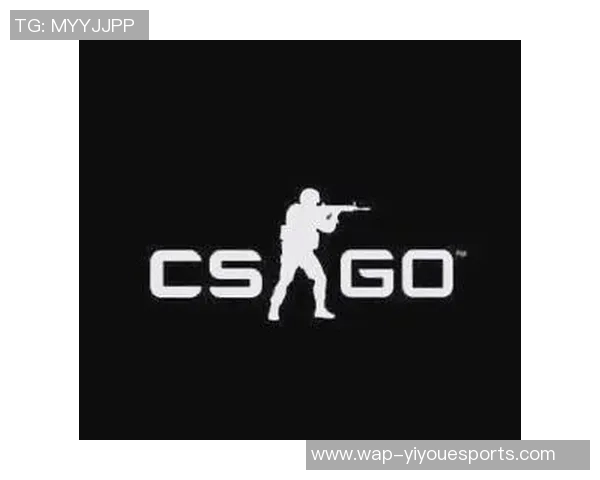 揭秘王芳成功之路与CSGO赛事背后的故事与策略