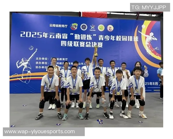 电竞传奇WE战队的奋斗历程与荣耀时刻全景回顾